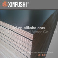 TOP Grade F17 1200*1800*17MM Structural plywood for Fiji market from china